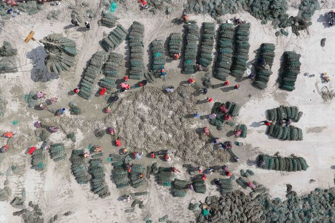 China Marine Ranch Ecological Breeding China Marine Ranch Ecological Breeding