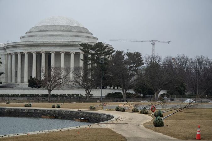 New Cherry Blossoms In DC Washington United States 19 Feb 2026