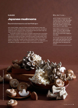 In Season Japanese Mushrooms In Season Japanese Mushrooms