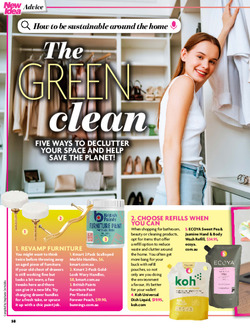 The green clean