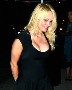 Stunning Beauty Pamela Anderson With A New Man In Hollywood