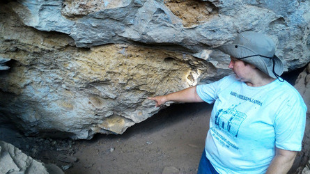 3D CAVEMAN FACE REVEAL