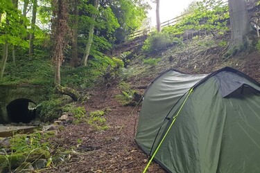 LUCKY DAD CAN ESCAPE INTO A FOREST IN HIS BACK GARDEN