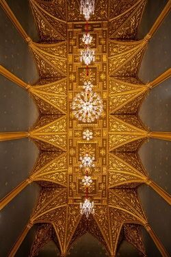 THE WINNERS of the Tokyo International Foto Awards 2022 have been announced and the images are incredible.