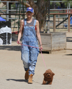 Gwen Stefani with Kids Enjoying the Day at a Farm