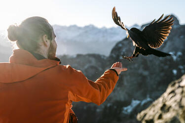 THE HUMAN BIRD TABLE...ON TOP OF A MOUNTAIN