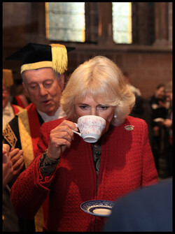 Duchess of Cornwall honorary doctorate