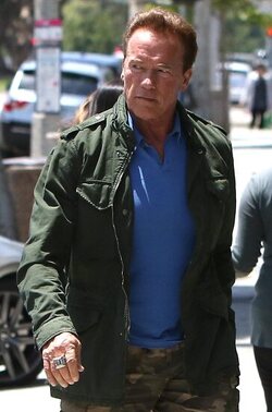 Arnold Schwarzenegger was spotted while out and about in Brentwood.