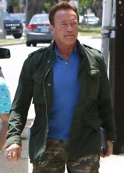 Arnold Schwarzenegger was spotted while out and about in Brentwood.