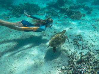 Van Staycation Van Staycation