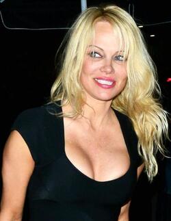 Stunning Beauty Pamela Anderson With A New Man In Hollywood