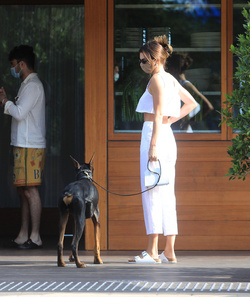 Kendall Jenner Angelic In White As She Brings Her Doberman Along To Dinner At Soho