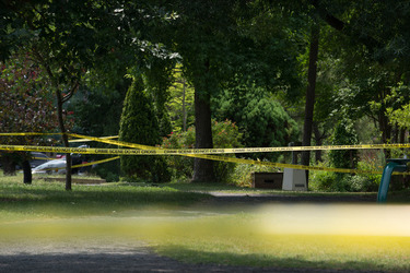 Gunman mows down congressmen at ball park