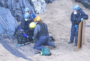 Seal with rope wrapped so tightly around her neck skin had grown over it is finally set free Seal with rope wrapped so tightly around her neck skin had grown over it is finally set free
