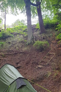 LUCKY DAD CAN ESCAPE INTO A FOREST IN HIS BACK GARDEN
