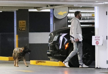 Ben Affleck Keeps Busy Amid House Hunt Arrives At Hollywood Office With Guard Dog Ben Affleck Keeps Busy Amid House Hunt Arrives At Hollywood Office With Guard Dog