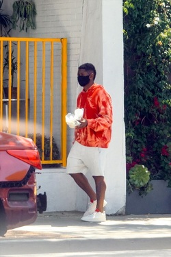 Usher Dominic Adams Greer Grammer Michael Rapaport and Nicolette Gray Seen Around West Hollywood