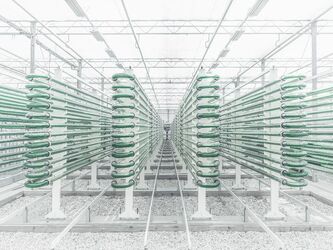 THE WINNERS of the Tokyo International Foto Awards 2022 have been announced and the images are incredible.