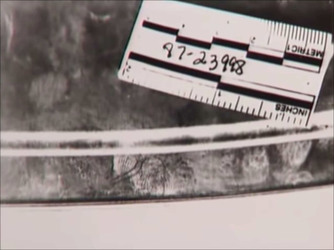 MUM AND HER TWO DAUGHTERS MURDERED BY ANGRY NEPHEW