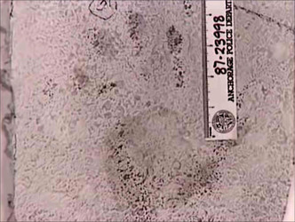 MUM AND HER TWO DAUGHTERS MURDERED BY ANGRY NEPHEW