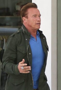 Arnold Schwarzenegger was spotted while out and about in Brentwood.