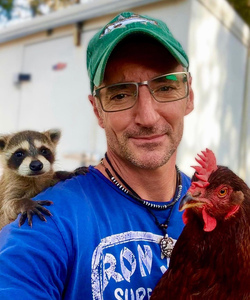 Chicken best friends with horse dog cat and even a racoon