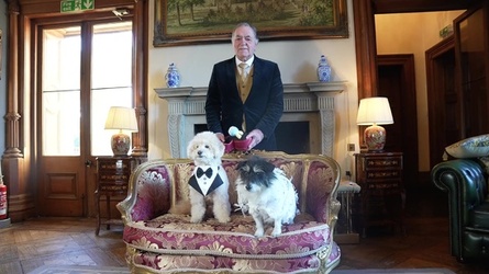 VIDEO Dogs tie the knot in plush wedding ceremony