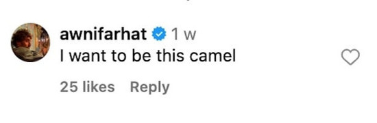 VIDEO Adorable camel rolls around in waves during much needed cool down VIDEO Adorable camel rolls around in waves during much needed cool down