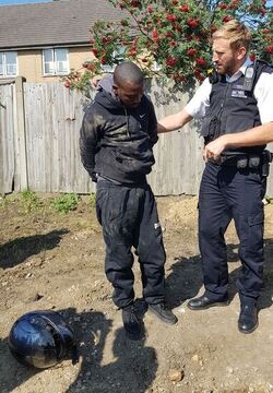 NINTCHDBPICT000350085354