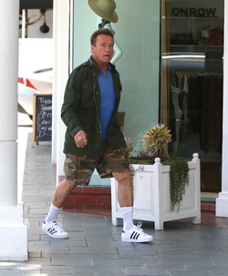 Arnold Schwarzenegger was spotted while out and about in Brentwood.