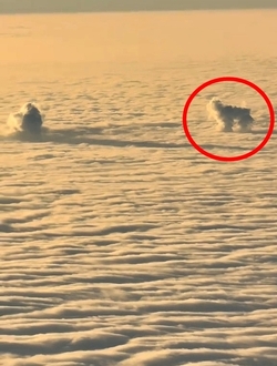 VIDEO Plane passenger spots DOG playing with ball in the clouds