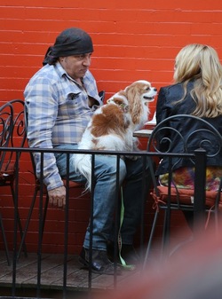 Steven Van Zandt has lunch in the West Village With his Dog