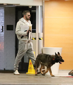 Ben Affleck Keeps Busy Amid House Hunt Arrives At Hollywood Office With Guard Dog Ben Affleck Keeps Busy Amid House Hunt Arrives At Hollywood Office With Guard Dog