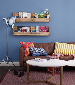 DIY Rustic display shelves