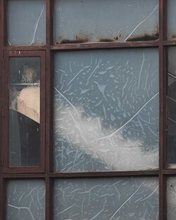 Photographer who documented the plight of Sri Lankan elephants wins prestigious award Photographer who documented the plight of Sri Lankan elephants wins prestigious award