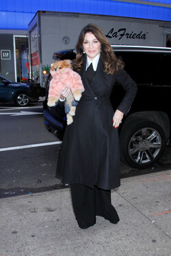 Lisa Vanderpump Stops by GMA to Promote Vanderpump Rules
