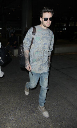 Liam Payne to miss Father s Day with his family as he arrives in LA for work