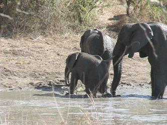 Inside X Factor star Saara Aaltohas birthday bash Inside X Factor star Saara Aaltohas birthday bash