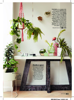 Cool calm living spaces