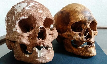 Astonishing 3D face of 10 000 YEAR OLD African caveman discovered in Brazil could settle historic debate Astonishing 3D face of 10 000 YEAR OLD African caveman discovered in Brazil could settle historic debate