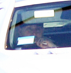 Britney Spears New Boyfriend Rides Shotgun During Coffee Run