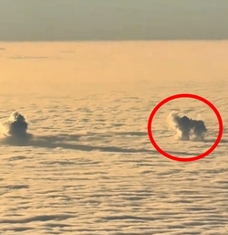 VIDEO Plane passenger spots DOG playing with ball in the clouds