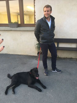 France gets First Dog Macron adopts labrador mix Nemo