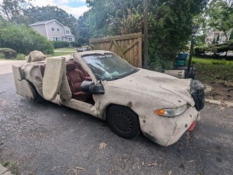 Dumb and Dumber Dog Buick for Sale