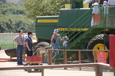 Gwen Stefani with Kids Enjoying the Day at a Farm