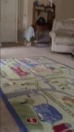 BABY RUNS INTO WALL