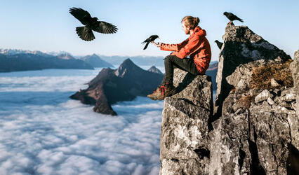 THE HUMAN BIRD TABLE...ON TOP OF A MOUNTAIN