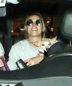 Ashley Greene and fiance take their dog on a plane