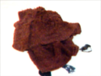 MUM AND HER TWO DAUGHTERS MURDERED BY ANGRY NEPHEW