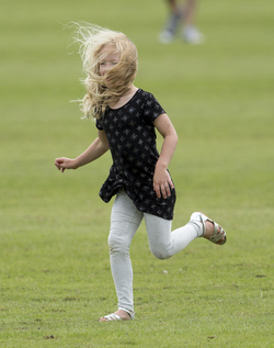 Prince William participates in the Gloucestershire Festival of Polo